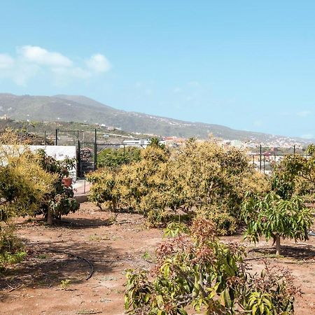הוילה איקוד דה לוס וינוס Casa Quemahierro 2 מראה חיצוני תמונה