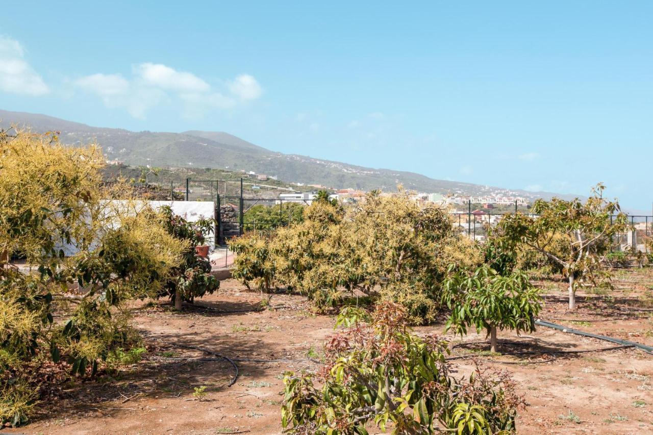 הוילה איקוד דה לוס וינוס Casa Quemahierro 2 מראה חיצוני תמונה